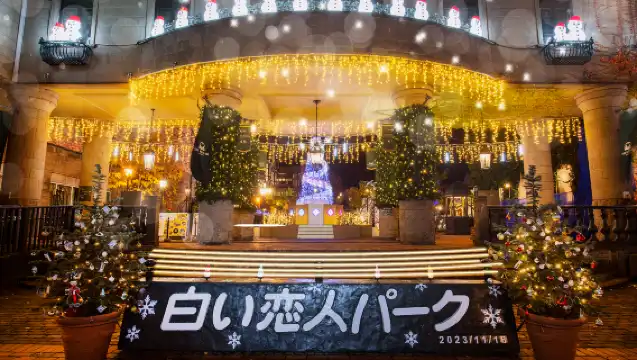 札幌+白戀+北海道神宮+藻岩山一日遊【包車10小時】