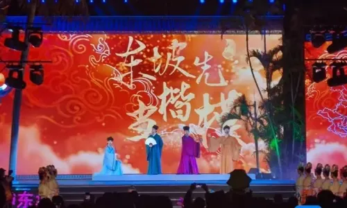 dan zhou   ·   《 nan shen dong po 》 chen jin shi yan yi