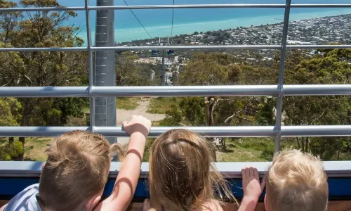 Arthurs Seat Eagle - Base Station