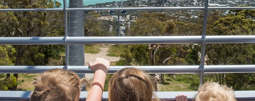 Arthurs Seat Eagle - Base Station