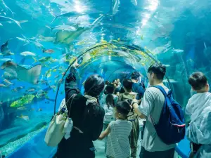 Luoyuan Bay Ocean World