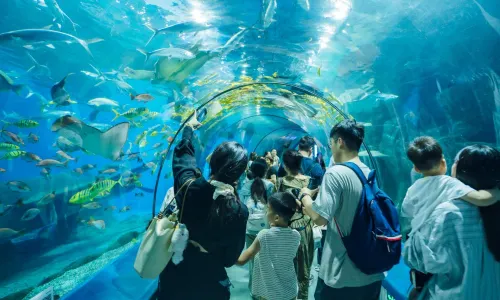 羅源灣海洋世界