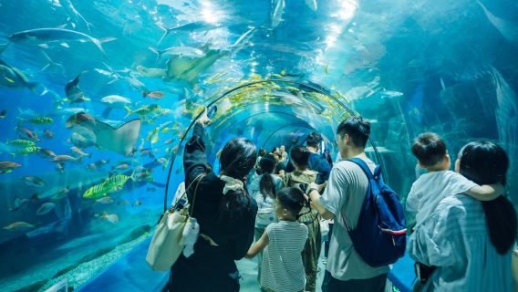 Fuzhou Luoyuan Bay Ocean World Tourist Area