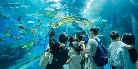 羅源灣海洋世界
