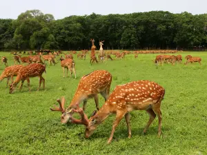 Xingkai Lake Ecological Tourism Resort