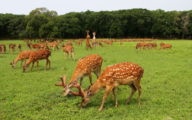 Xingkai Lake Ecological Tourism Resort