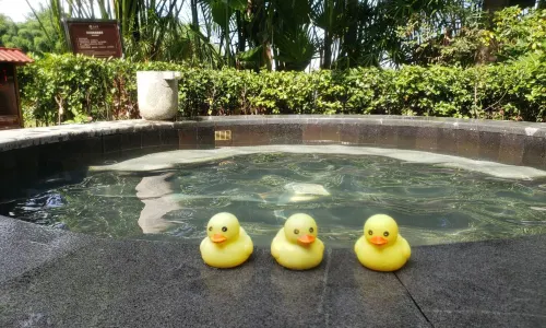 Liangjiang Holiday Hot Spring Water World