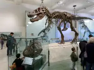 American Museum of Natural History
