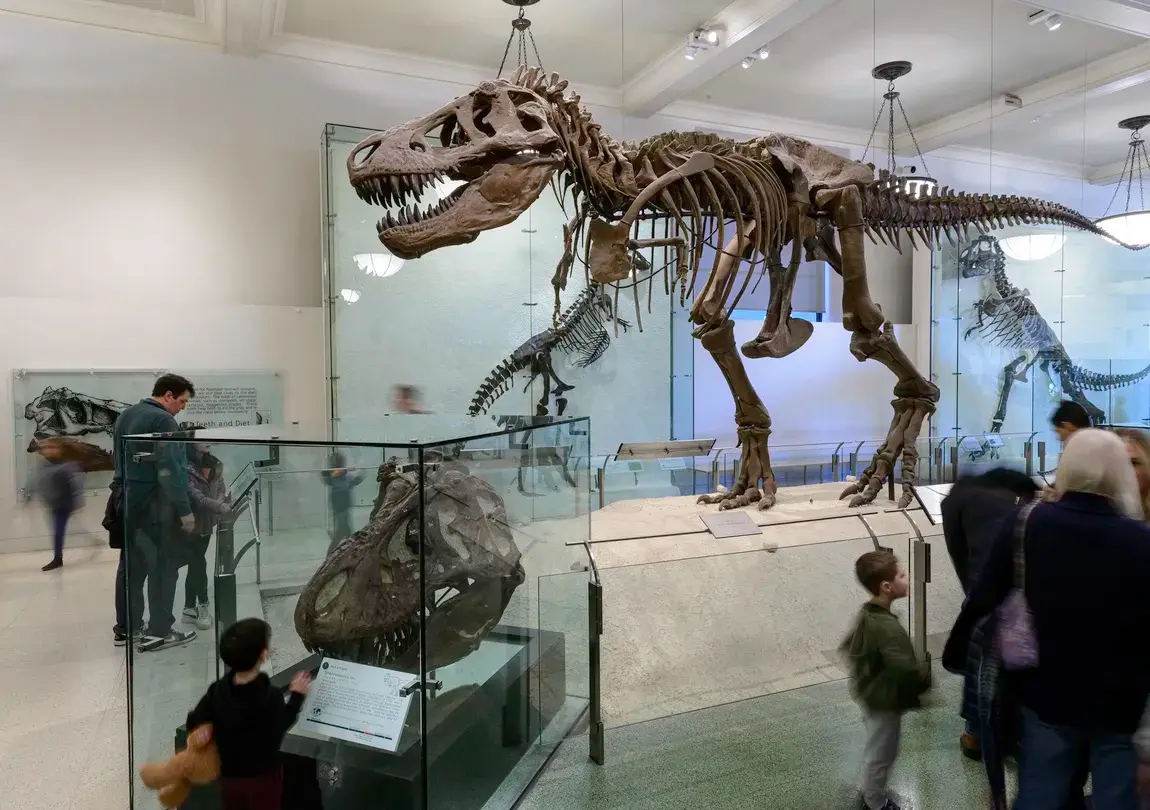 4_American Museum of Natural History