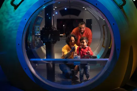New York Aquarium