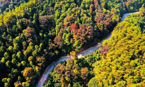 Pingtian Mountain National Forest Park