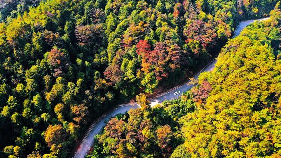 Pingtian Mountain National Forest Park