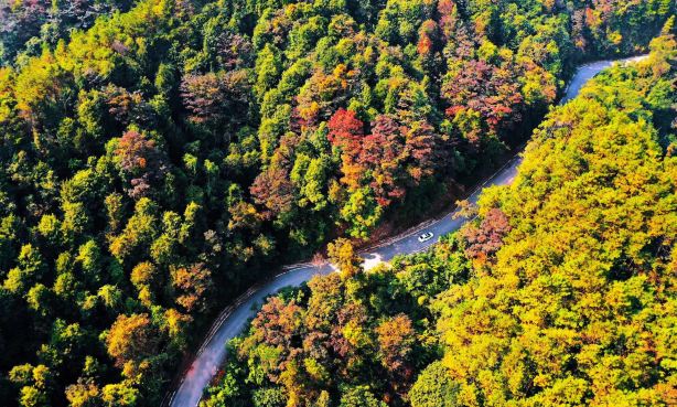 Pingtian Mountain National Forest Park