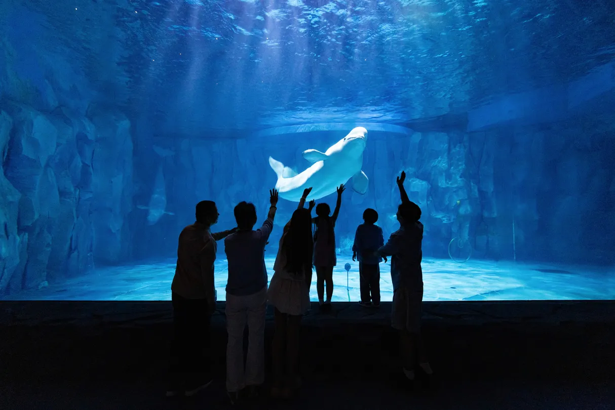 4_Xiaomeisha Sea World