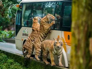 Bifengxia Wildlife Park