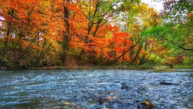 Changbai Mountain Xiaosha River Rafting