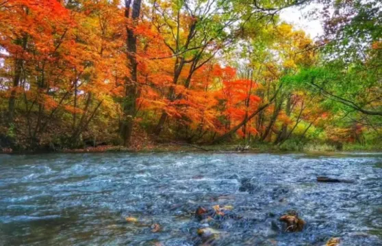 長白山小沙河漂流票 + 來回接送大小同價