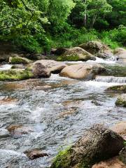 三道關國家森林公園