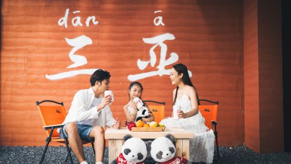 Tropical Paradise Forest Park + Yalong Bay Beach + Sun Bay Road 1-day tour with private transfer service