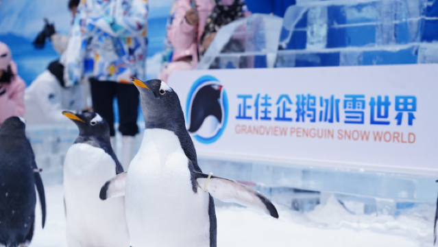 正佳企鵝冰雪世界