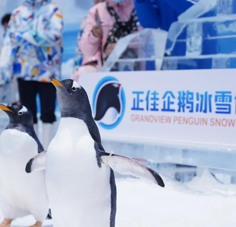 正佳企鵝冰雪世界