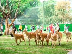 Changsha COLORFUL WORLD