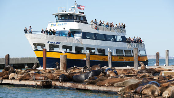 PIER 39