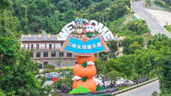 Three Gorges Giraffe Park