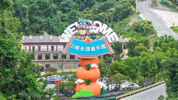 Three Gorges Giraffe Park