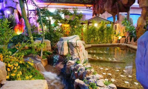 Gathering Paradise · Water Park