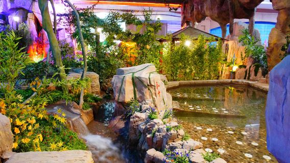 Gathering Paradise · Water Park