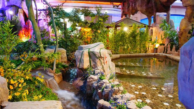 Gathering Paradise · Water Park