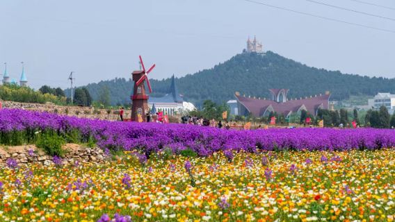 Fang Lei Rose Flower Village