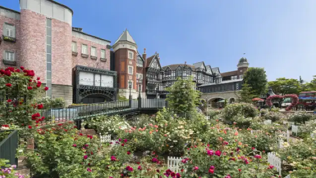 北海道神宮+小樽運河+大正硝子館+白戀一日遊【包車團】