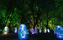 teamLab Botanical Garden Osaka