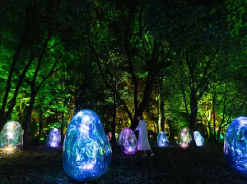 teamLab Botanical Garden Osaka