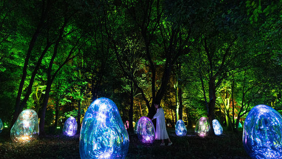 teamLab Botanical Garden Osaka