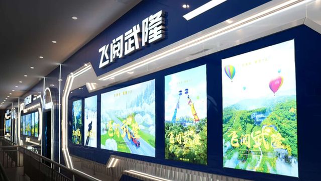 fei yue wu long fei xing ying yuan