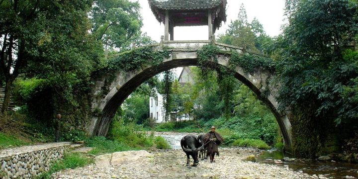 Guodong Ancient Ecological Village