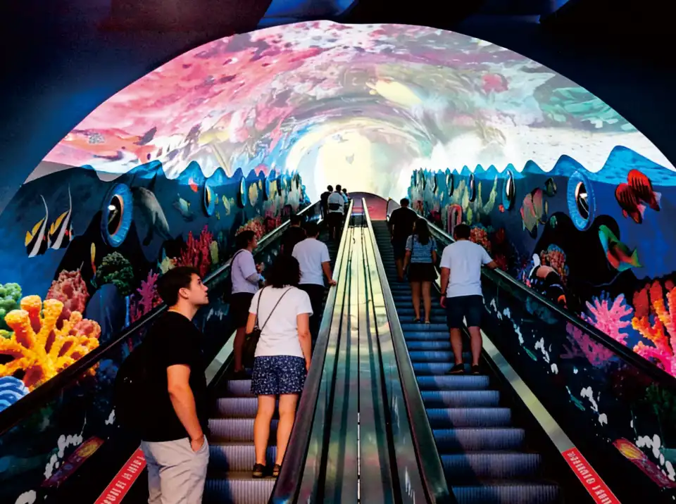 4_Chengdu Cube Oceanarium