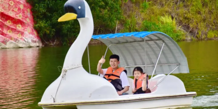 芭堤雅野生大象公園