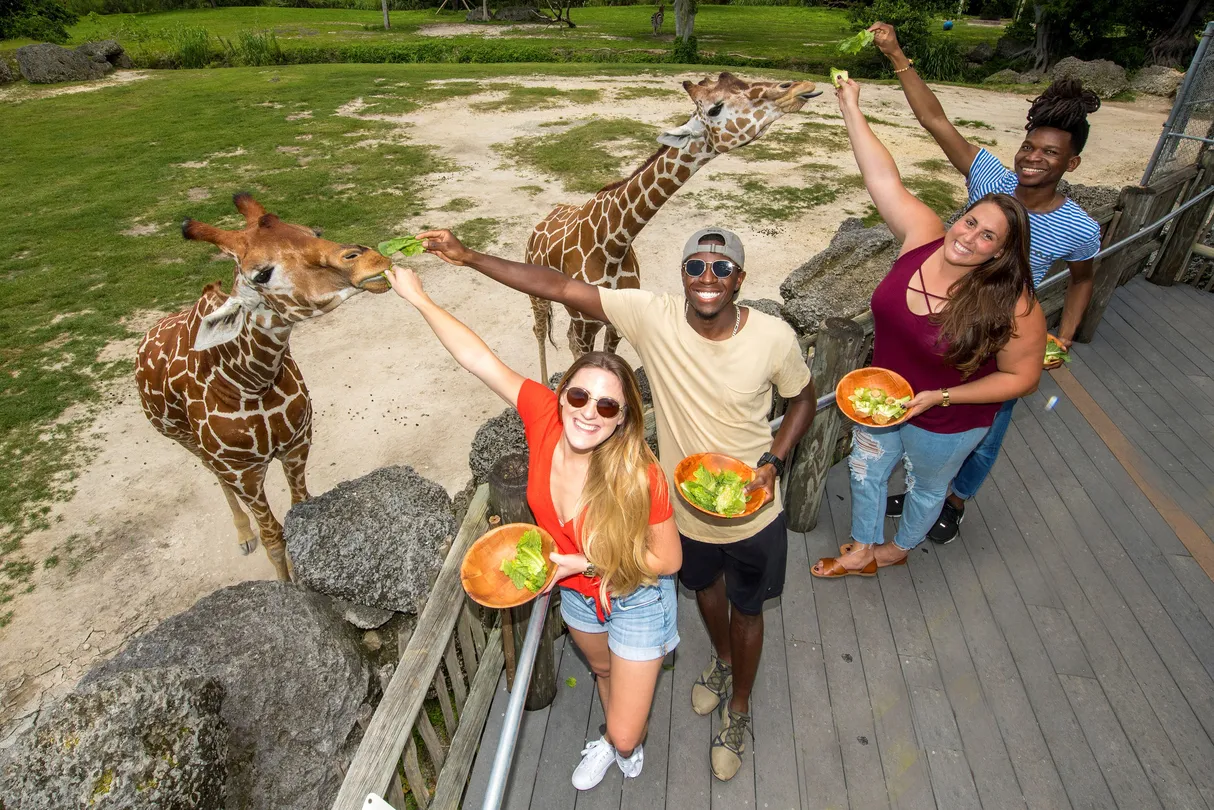 3_Zoo Miami
