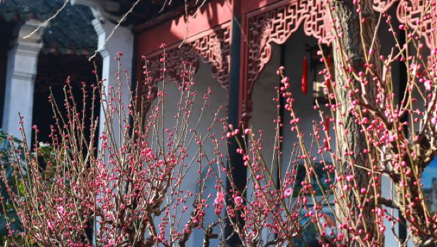 江蘇蘇州無錫|中英文翻譯|俄語法語及其他小語種翻譯|景點導覽|商務翻譯|文體翻譯|展會翻譯|醫療服務