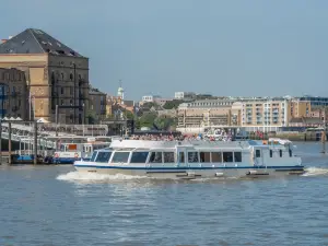Thames River Sightseeing