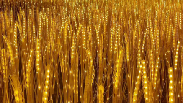 Dongguan Qiaotou Ecological Garden