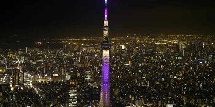 Tokyo Skytree image 0