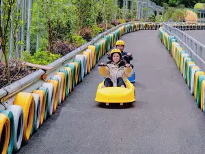 OMG Adventure Park
