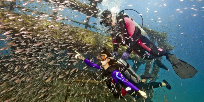 Wuzhizhou Island image 1