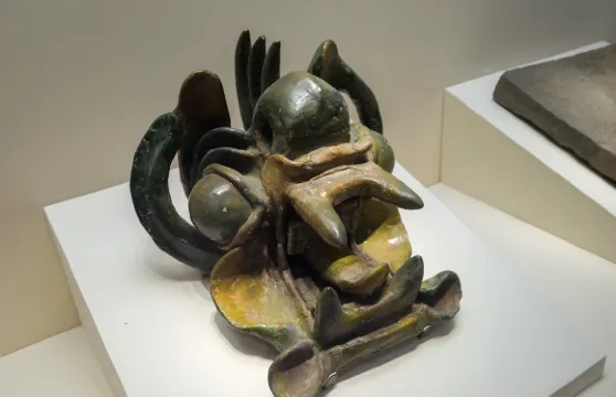 渤海上京遺址博物館門票成人