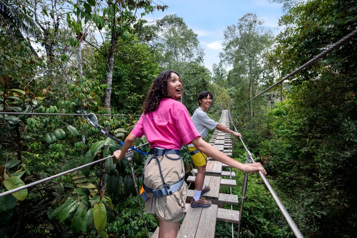 Rainforest Wild Adventure